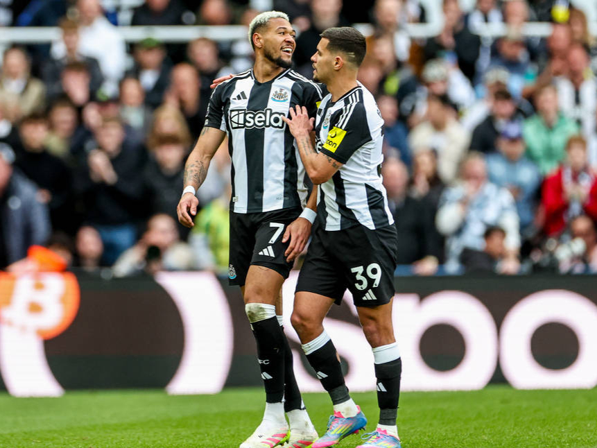 包含纽伦堡队球员状态亮眼，连胜上升的词条